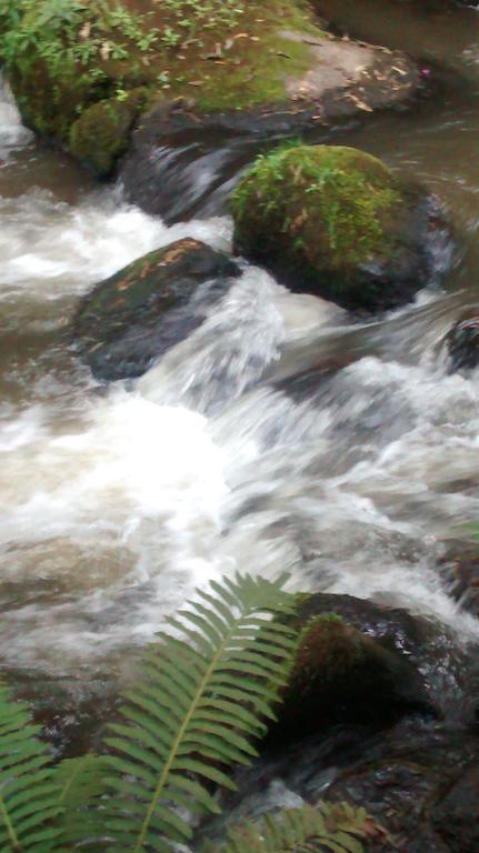 Inn Encontro Aguas *